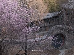 -香山公园