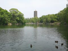 -北京大学百年讲堂