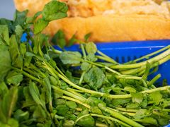 高丽菜-花苑美食横琴生蚝火锅(拱北粤华路店)