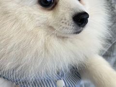 -怪兽屋·羊驼·猫咖·狗咖(俊华广场店)