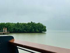 -深圳湾公园(南山区)