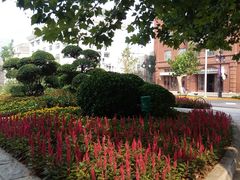 -萨莉亚意式餐厅(彩悦城店)
