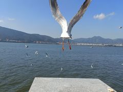 -海埂大坝