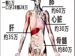-御灸堂古法艾灸(东坝店)