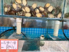 水产区-天伦海鲜·老味道·青岛菜(栈桥天主教堂店)