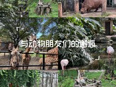 -南昌动物园