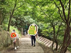 -灵顺寺