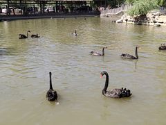 -新疆天山野生动物园