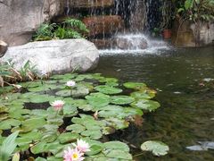 android_upload_pic-广州神农草堂中医药博物馆
