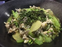 -靓蛙馆