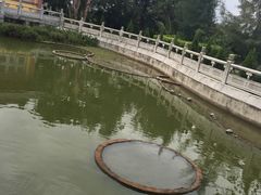 -博鳌禅寺