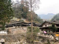 -林坑古村落