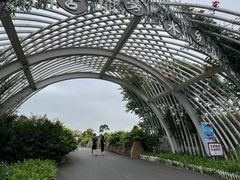 -江门古劳水乡旅游区