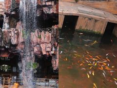 -长鹿旅游休博园