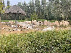 -北京野生动物园