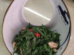 炝拌南瓜苗-京都饺子(双塔西街店)