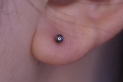 -众刺纹画·纹身·穿孔饰品·海娜定制