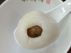 鲜肉汤团-朱新年·苏式汤团·面点(北寺塔店)