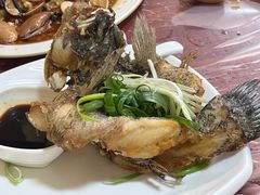 -富来美食