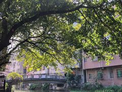 -小洲村