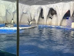 -太平洋海底世界