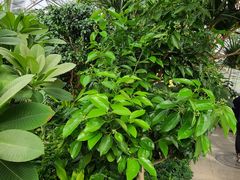 -北京植物园-展览温室