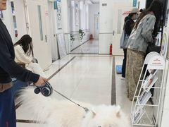 -派美特宠物医院·核磁CT·骨科肿瘤·疑难转诊(沈农禾丰店)