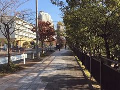 -台场海滨公园船码头