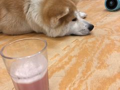 -YCHL Studios健身工作室(市二宫店)
