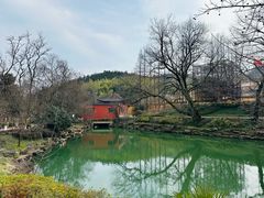 -冶父山国家森林公园