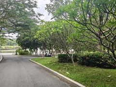 -东莞植物园