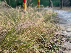 -WeLope紫金山探险公园
