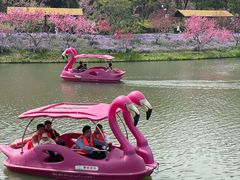 -圩墩遗址公园
