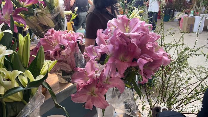 长春青怡坊鲜花批发(青怡坊花鸟市场店)图片