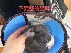 -联合动物医院(光谷诊疗中心)