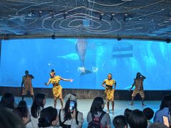 -海合安成都极地海洋公园