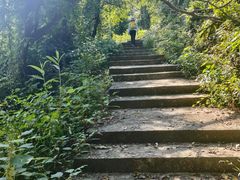 -青龙山国家森林公园