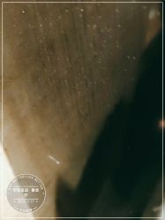 -华东饭店·园林式婚礼宴会厅酒店