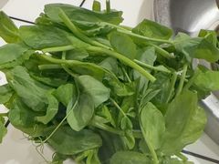 -海关荤豆花(洋河一路店)