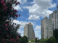 -苏州河梦清园环保主题公园