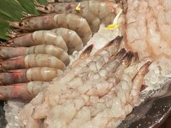 -牛New寿喜烧(闵行龙湖天街店)