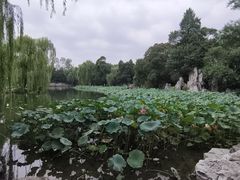 -清华大学-观畴园餐厅