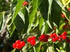 -周口店北京人遗址公园