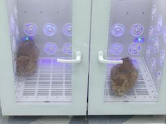 -总动员动物医院(宝丰院店)