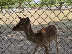 -西安秦岭野生动物园