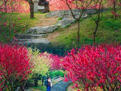 -桃花涧