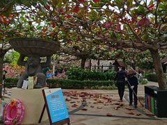 -三亚亚龙湾天域度假酒店