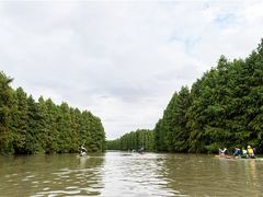 -上海海湾国家森林公园