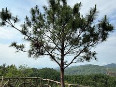 -汕尾铜鼎山旅游区