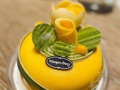 -哈根达斯(济南万象城店)